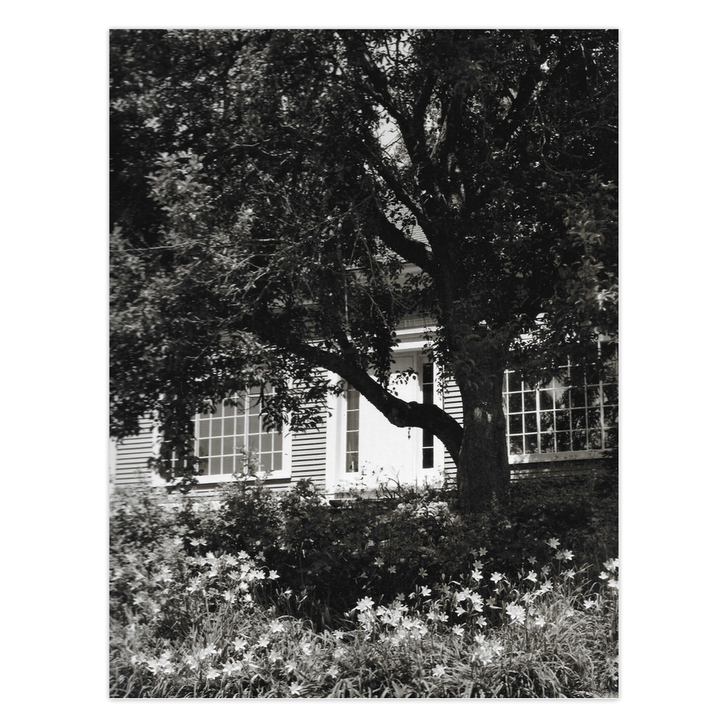Vermont historic house black and white photo, Home Sweet Home by Janet Lee Chauncey, greeting card image.