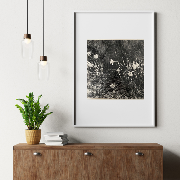 Weston Daffodils art print is framed and matted and adds depth and texture to the white wall.