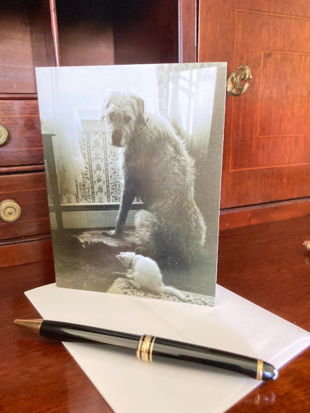 Another mock up of the front of Grizzy and Roxanne Greeting card on a wooden desk. The card is angled to the left and the dog and cat are visible.