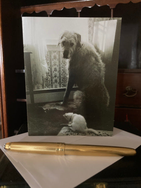 A mock up of the card on a wooden desk with the envelope and a gold pen. The front of the card is standing up against the drawers of the desk clearly showing the dog and the cat.