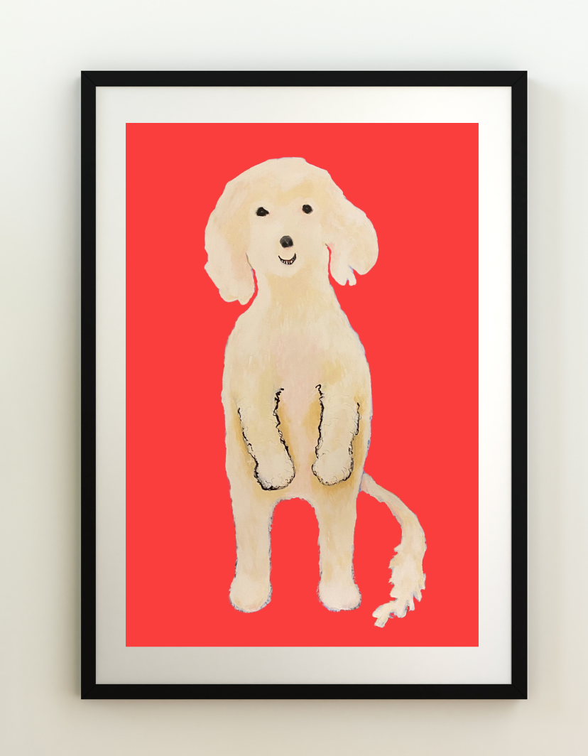 A burst of coral and an image of an adorable Maltese dog standing proudly in a black frame set on a white wall.