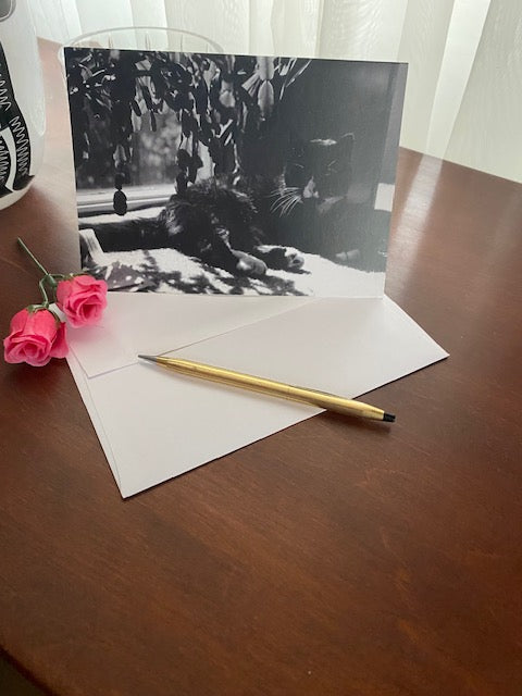 Photograph display of the front of a black and white greeting card titled Puddy Tat In The Window arranged on a brown desktop with a white envelope, gold pen, and two pink rosebuds.
