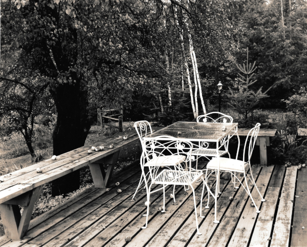 Apples On The Deck is the title to this black and white photograph printed on metal. Located on a deck with apples scattered from the nearby tree is a white antique outdoor furniture set.