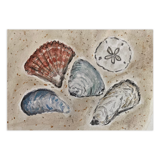 Seashells By The Seashore greeting card featuring a collection of seashells, reproduced from an original watercolor painting by Heidi Chauncey Vorwerk. Front of card by Chauncey Art Collective.