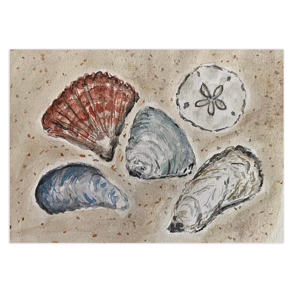 Sea Shells By The Seashore greeting card features 4 beautiful shells in grays, blues and deep red sitting atop the sand. They are accompanied by a white sand dollar.