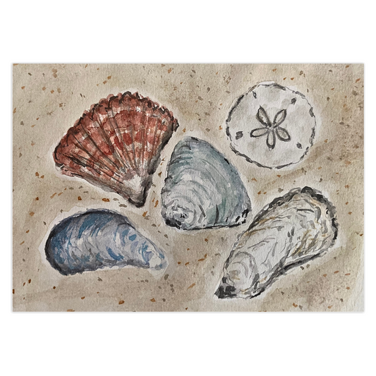 Sea Shells By The Seashore greeting card features 4 beautiful shells in grays, blues and deep red sitting atop the sand. They are accompanied by a white sand dollar.