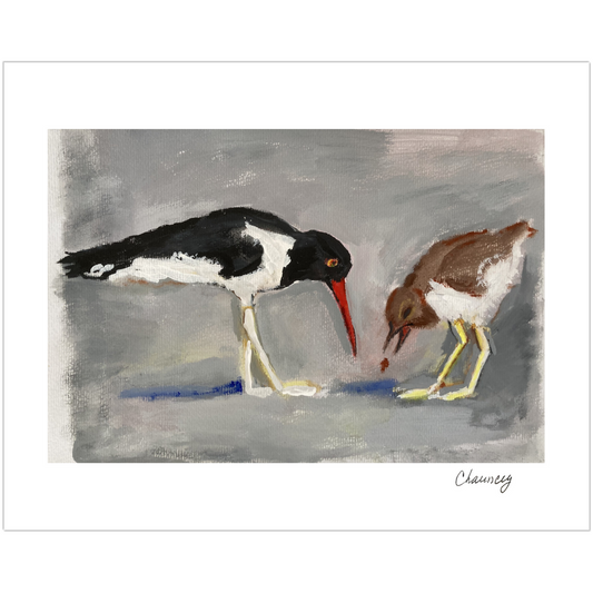 Two Shore Birds peck at the gray sand beach for tasty treats. The bird on the left is slightly larger and is black and white.  The smaller bird on the right is brown and white and appears to have found a seed. The shadows of the birds are blue.