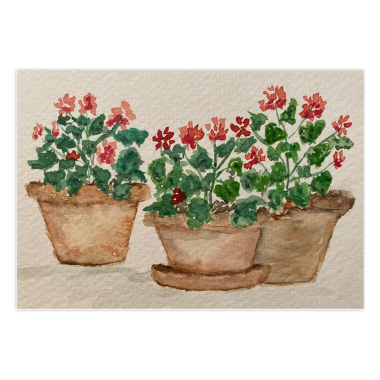 Bright Geranium Trio greeting card featuring three cheerful red geranium flowers in terra-cotta pots, reproduced from an original watercolor by Heidi Chauncey Vorwerk. Front of card by Chauncey Art Collective