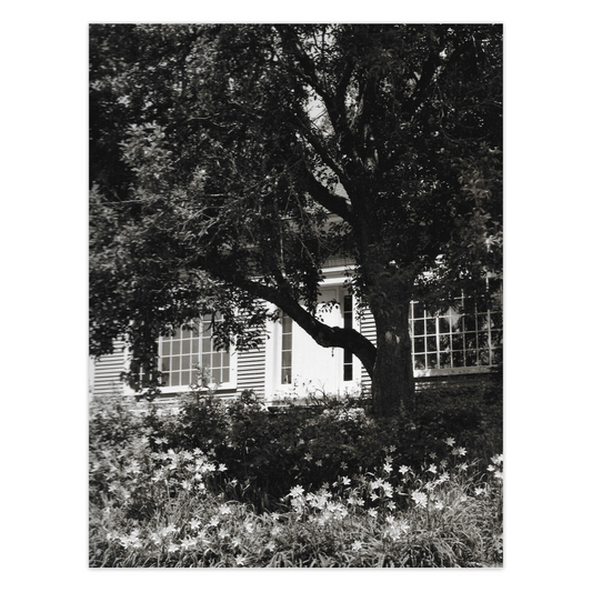 Vermont historic house black and white photo, Home Sweet Home by Janet Lee Chauncey, greeting card image.