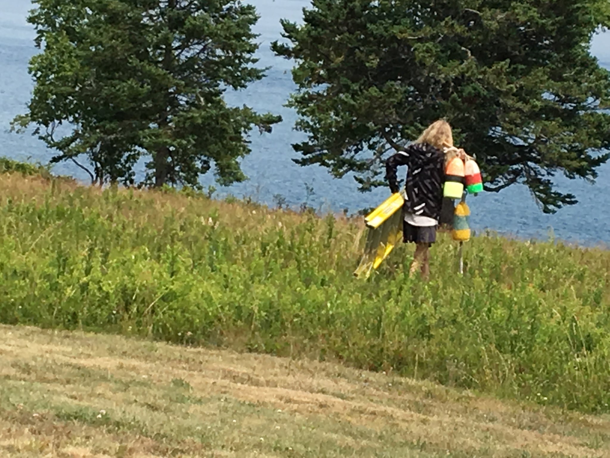 A girl with a ladder and colorful buoys is walking into a field to decorate a birch tree. The sea is blue in front of the tall green grass in the field.