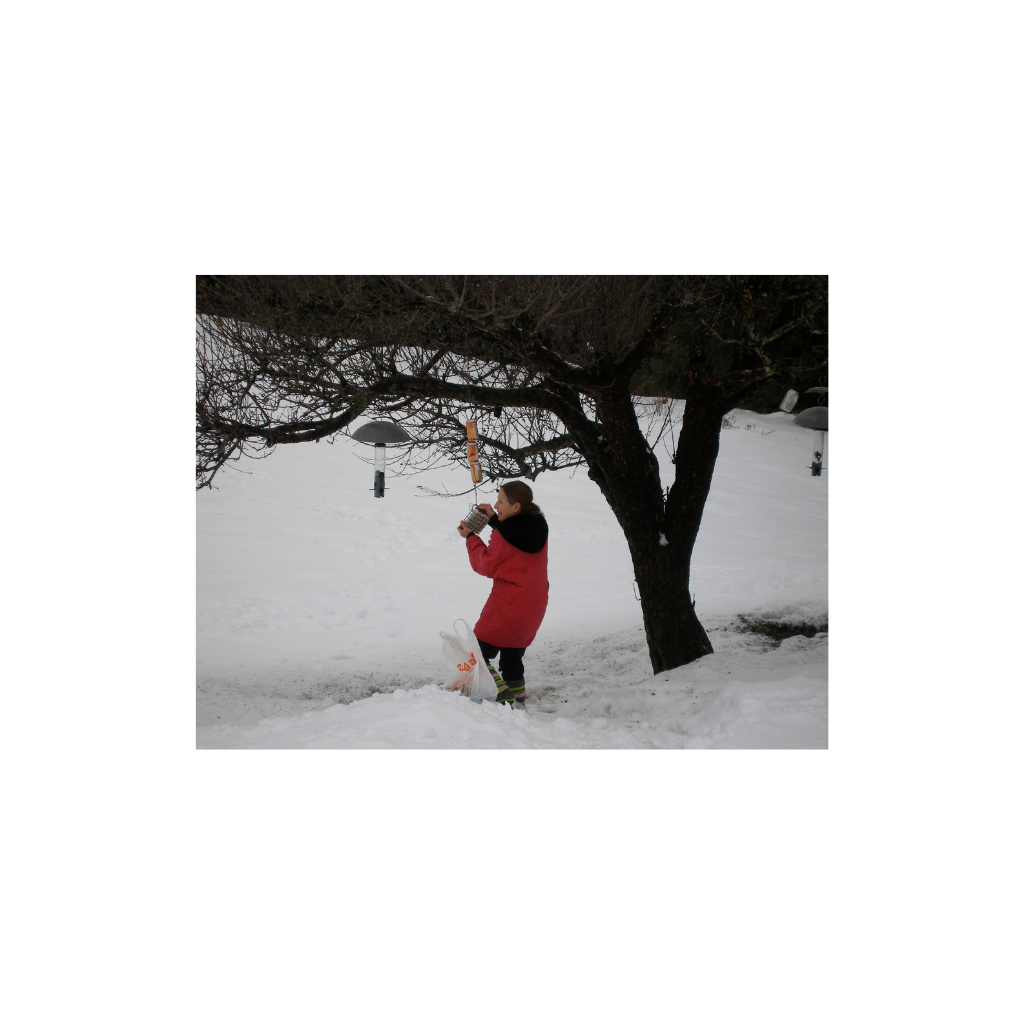 Photo of Janet Lee Chauncey for story image of greeting card Birdie Talk.  Woman in a red coat standing in the snow filling the bird feeder.  Notecard by Chauncey Art Collective.