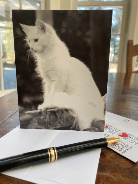 A front view of the greeting card shows a proud cat, Roxanne along with the card's envelope on a wooden desk with a pen and stamps.